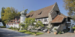 Hochzeitssängerin Schweiz