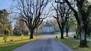 Gebucht als Sängerin an Beerdigung auf Friedhof Biel