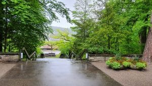 Engagiert als Sängerin auf Friedhof Rosenberg in Winterthur.
